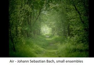 musical hearing loss