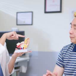 Audiologist demonstrating an ear model